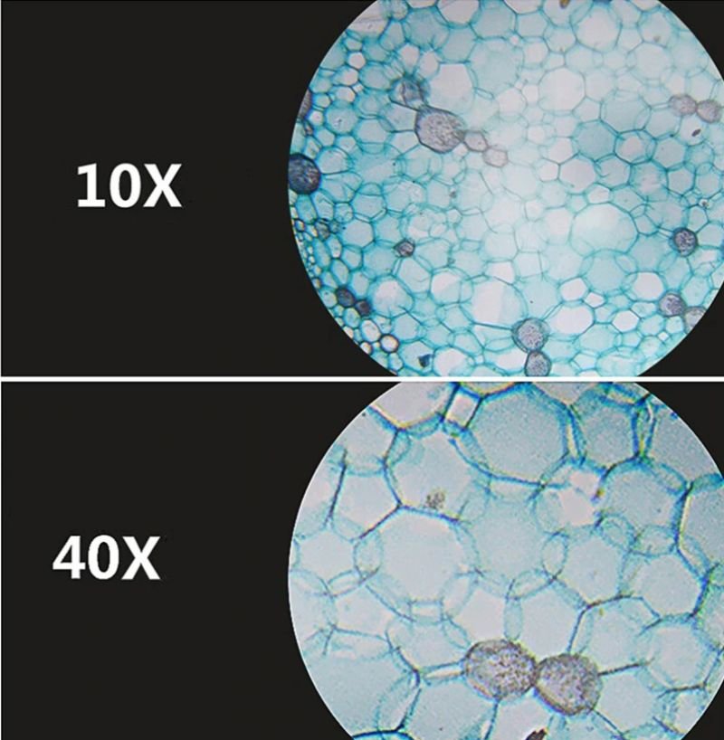 Профессиональный бинокулярный биологический микроскоп YEGREN XSP-126L 40X-1600X, + камера 2Мп